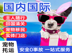 舟山普陀山机场快递国际宠物托运 【国
